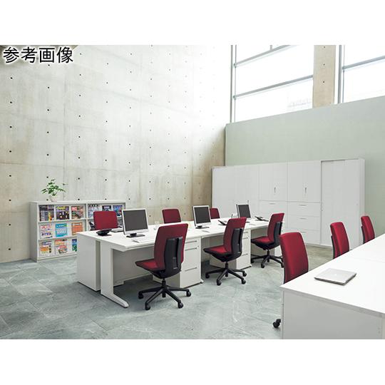 ライオン事務器 ビジネスデスク LDVシリーズ ホワイト/ホワイト LDV-M148FS-WW (64-8109-06) : A1 ショップ ...