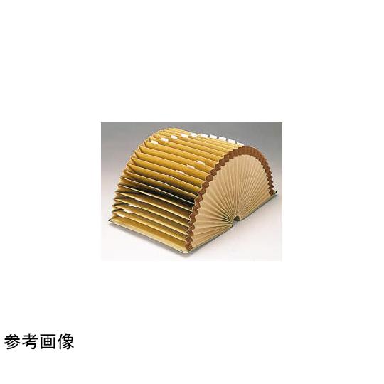 ドキュメントファイル ライオン事務器 DC-211 A4 (64-8262-95)_1