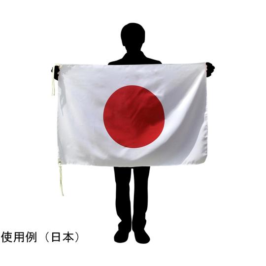 国旗No.1 70×105cm ウクライナ 東京製旗 416142 (64-8373-18