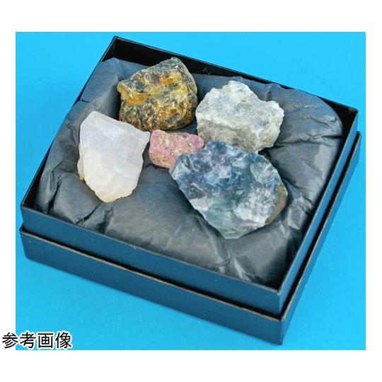蛍光鉱物セット 光る石の不思議な世界 L55-3179 (64-9146-02) : A1