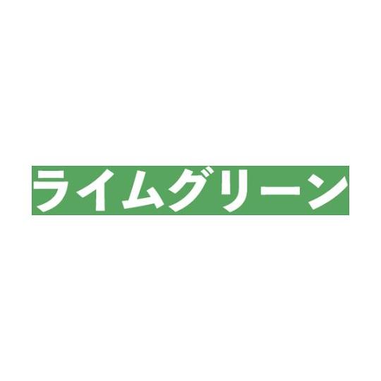 水性コンクリート床用 フロアトップ #15ライムグリーン 14L アトムサポート 00001-16143 (65-2515-43)