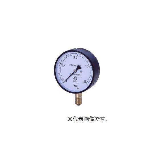 IPT一般圧力計 A型 Φ100 G1/2 0〜30MPA 第一計器製作所 AS1/2-100