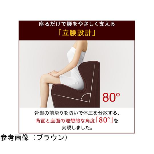 Style Dr.CHAIR Plus レッド MTG BS-DP2244F-R (65-8301-54)_2