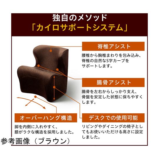 Style Dr.CHAIR Plus レッド MTG BS-DP2244F-R (65-8301-54)_4
