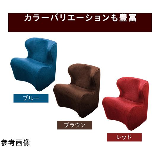 Style Dr.CHAIR Plus レッド MTG BS-DP2244F-R (65-8301-54)_6
