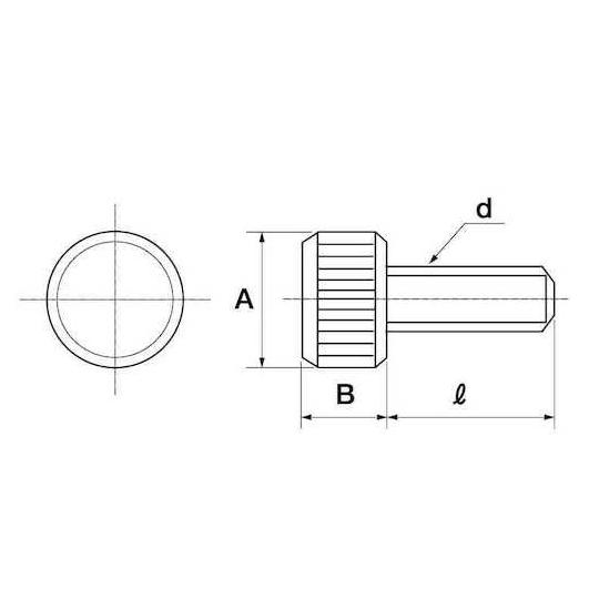 SUSローレットビス 4×10 250本入 サンコーインダストリー 00-02-J001-0040X0100-00 (67-0796-31)