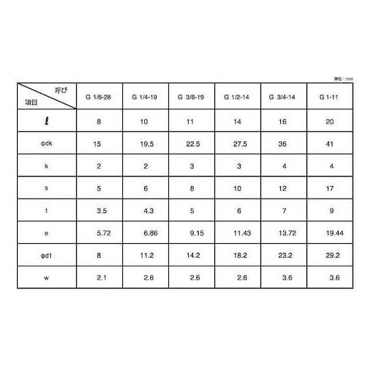 NSフランジプラグ G 1" 20本入 サンコーインダストリー A0-00-5750-8100-0000-00 (67-1683-46)_1