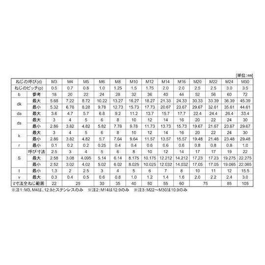ステンCAP 日本鋲螺 10 X 165 60本入 サンコーインダストリー A0-02-000B-0100-1650-00 (67-1823-34)