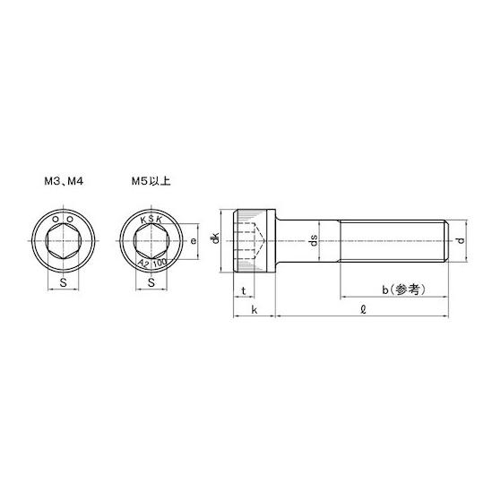 A2-100 ステンCAP 3×6 2000本入 サンコーインダストリー A0-02-0300-0030-0060-00 (67-1859-33)_2