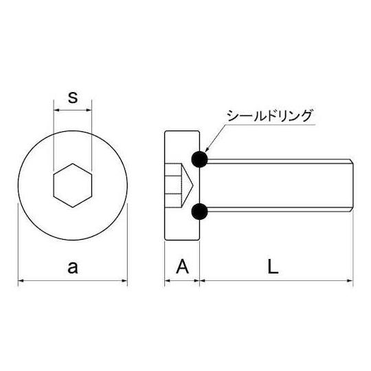 ステンレス シールCAP 6×20 200本入 サンコーインダストリー A0-02-D000-0060-0200-00 (67-1946-69)_2