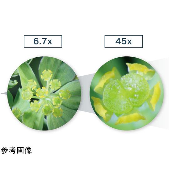 【同時三視野】ズーム式実体顕微鏡 伸太T + LEDリング照明 スタンダード + 乾電池電源 YS05T+SIMPLE5+TK8