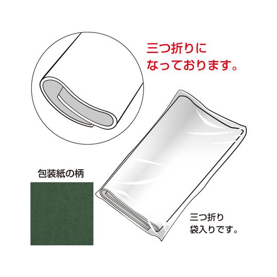 包装紙 エメラルド 全判 50枚入 ササガワ 49-2122 (67-4910-85)_1