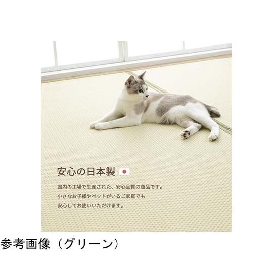 洗える ござ風カーペット グリーン 6畳 約261×352cm 1090740121202 (67-5722-77)_2