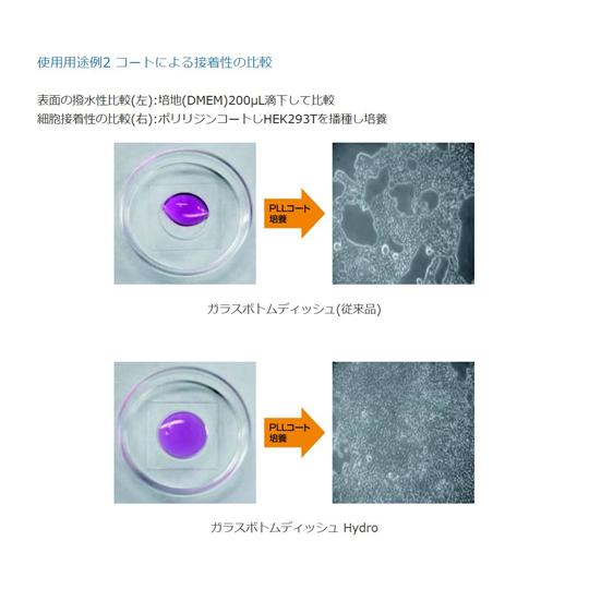 イージーグリップディッシュ 35mm φ No.1 S 14mm φ ノンコート 100個入 マツナミ D11530H (67-8066-65)