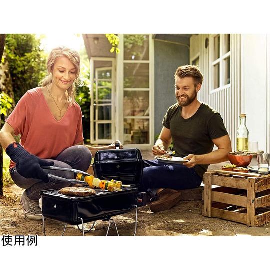 WEBER（ウェーバー） ゴーエニウェア チャコールグリル Weber 121908