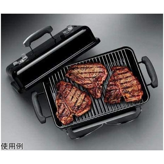 WEBER（ウェーバー） ゴーエニウェア チャコールグリル Weber 121908