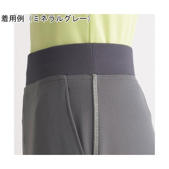 HEARTGREEN ニットブーツカットパンツ ブルーベリー 4L カーシーカシマ HL1825 (68-0929-80)_1