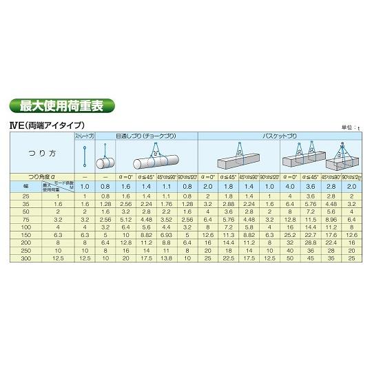 ブルースリング IVE 両端アイタイプ 200mm 9m テザック 4E200X9 (68-4130-82)_1