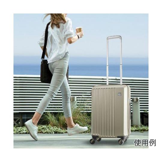 480×310×685mm/98L キャリーケース ダークグレー EA927BG-66 (68-6575-51)_3