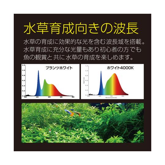 ゼンスイ Free Color Hyper LED Viiita ヴィータ300 (68-6656-17) : A1