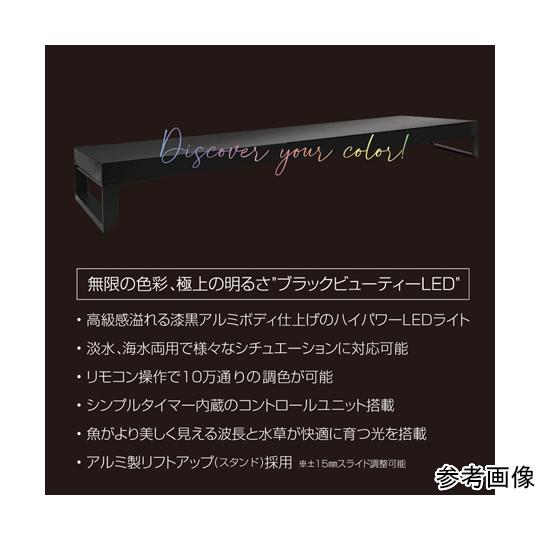 ゼンスイ Free Color Hyper LED Viiita ヴィータ900 (68-6656-20) : A1