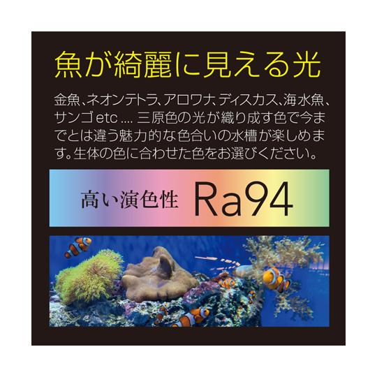 ゼンスイ Free Color Hyper LED Viiita ヴィータ900 (68-6656-20) : A1