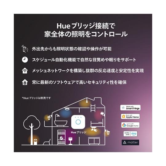 Philips Hue シグネ グラデーションフロアライト ブラック PHILIPS PHSIFLB 69-2206-41の画像