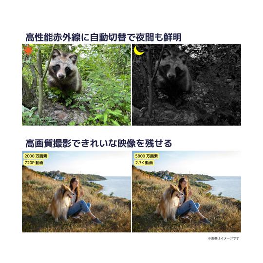 防水赤外線動感検知防犯トレイルカメラ ブロードウォッチ SEC-WTIRTV-027K 69-8572-97_2