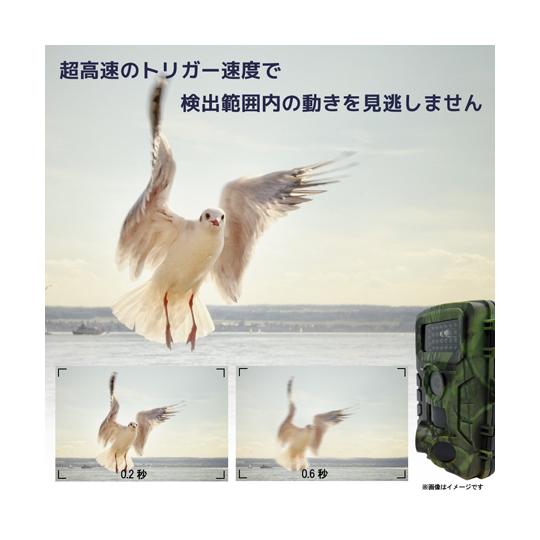 防水赤外線動感検知防犯トレイルカメラ ブロードウォッチ SEC-WTIRTV-027K 69-8572-97_5