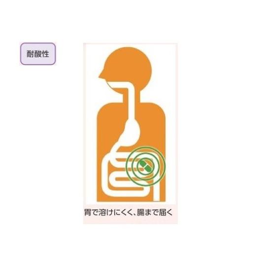 耐酸性食品カプセル DRcaps 2号 1000個入 小林カプセル (7-6861-53)_1