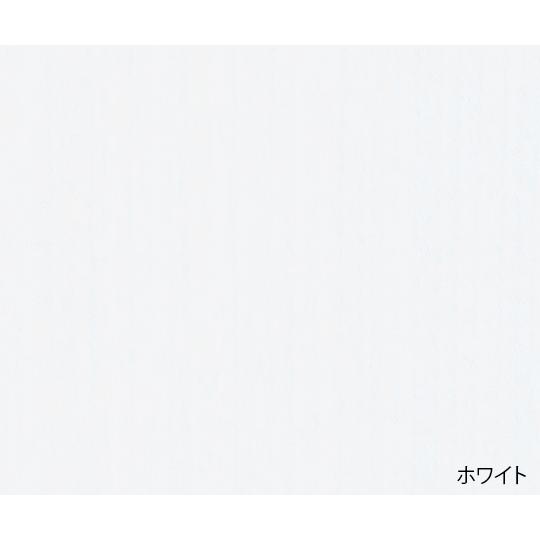 UVクリーン エクセレント 殺菌スリッパ保管庫 10足 ホワイト 東邦歯科産業  (7-7636-13)の画像