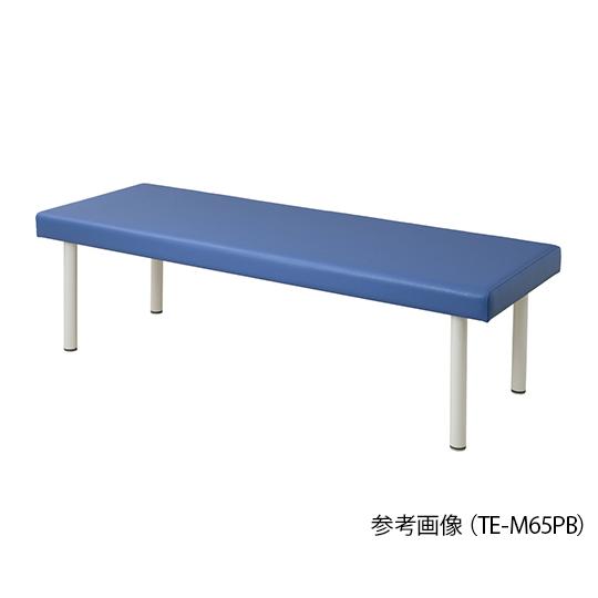 カラフル診察台 650×1900×500mm ライトブルー アズワン TE-L6519PB (7-9952-02)