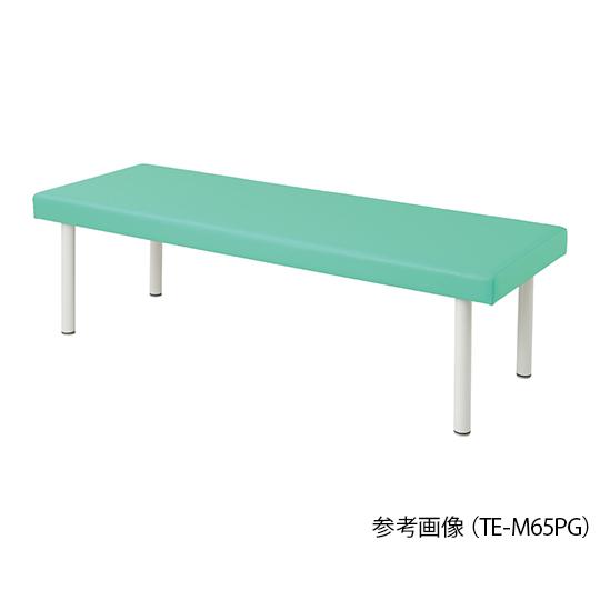 カラフル診察台 650×1900×500mm ライトグリーン アズワン TE-L6519PG (7-9952-04)