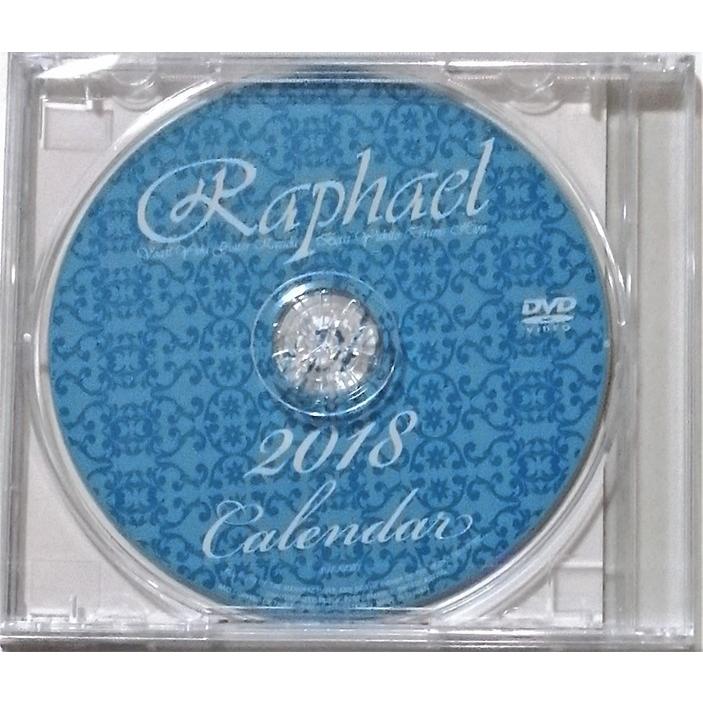 中古未開封DVD Raphael『 2018カレンダーの特典DVD 』非売品