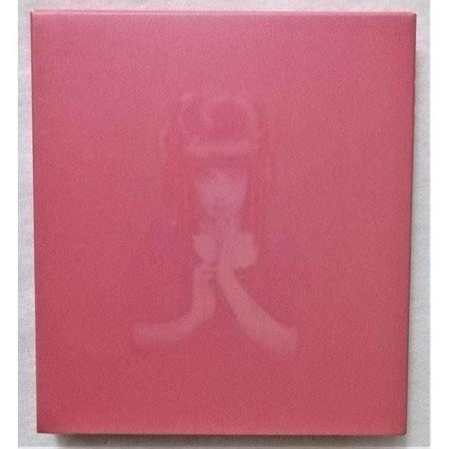 中古CD 椎名林檎 『 勝訴ストリップ 』初回生産スペシャルパッケージ