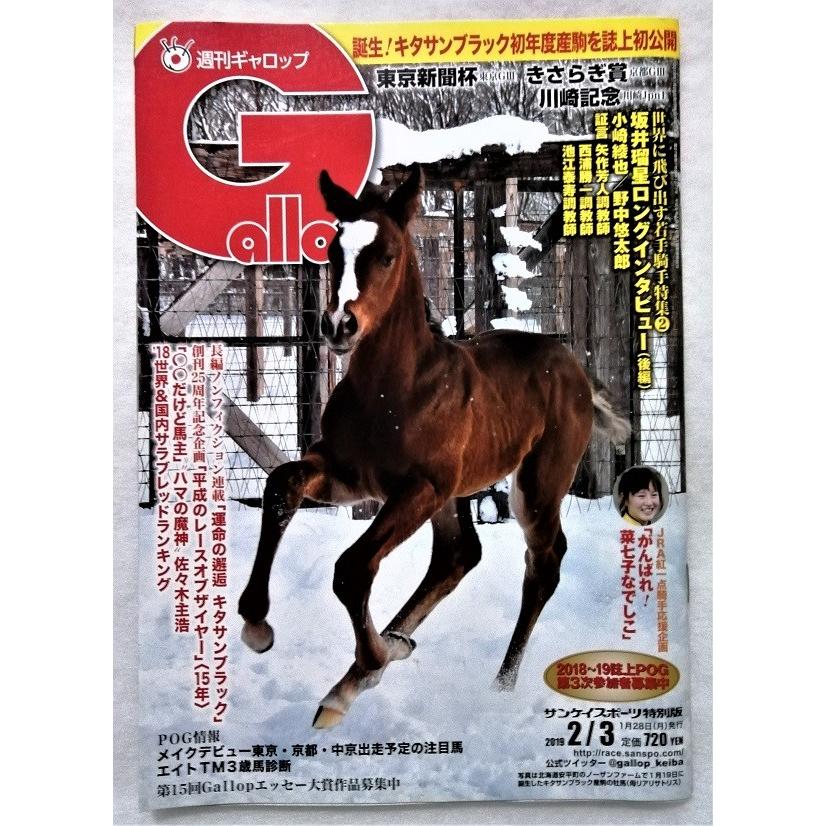 週刊ギャロップ(Gallop)競馬雑誌 セット　創刊号〜第43号『43冊セット』 週刊ギャロップ(Gallop)競馬雑誌 セット 創刊号〜第43号『43冊