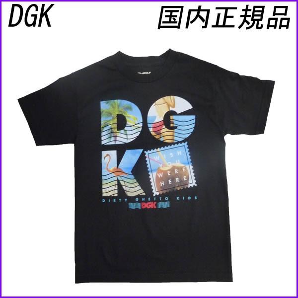 DGK Tシャツ ディージーケー 半袖 TEE シャツ WISH YOU WERE HERE スケーター　｜a2b-web