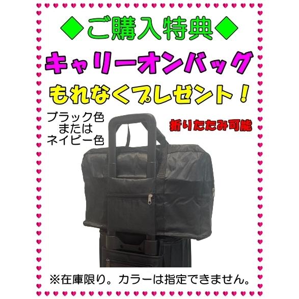 レイクアルスター ( カワサキ ) キャリーバッグ MJーミニ4輪 レイクアルスター ( カワサキ ) キャリーバッグ MJーミニ4輪