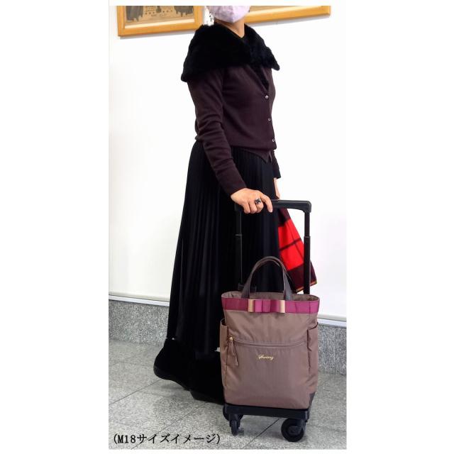 ✨美品✨ スワニー キャリーバッグ D-574 ルバンドIII ブラック 19L SWANY（キャリーバック） スワニー キャリーバッグ D-574