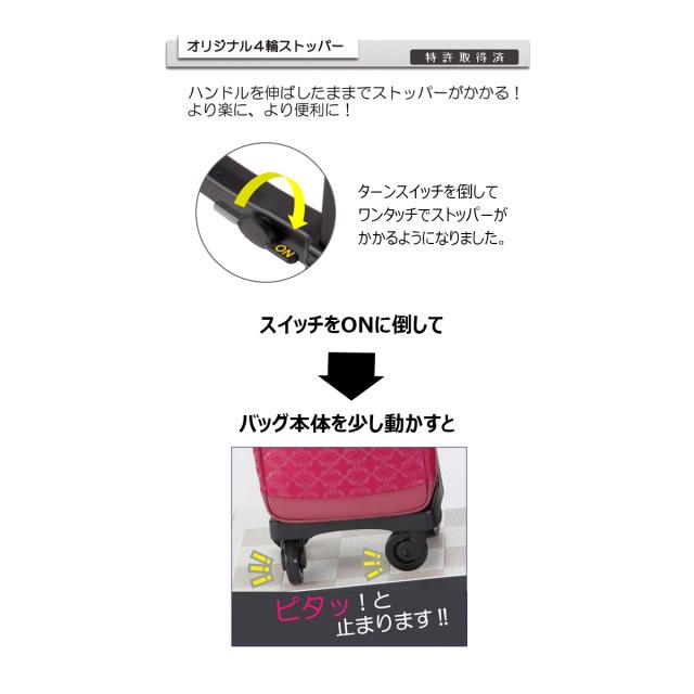 SWANY（スワニー） キャリーバッグ SWANY D-584 オリベーカII M18