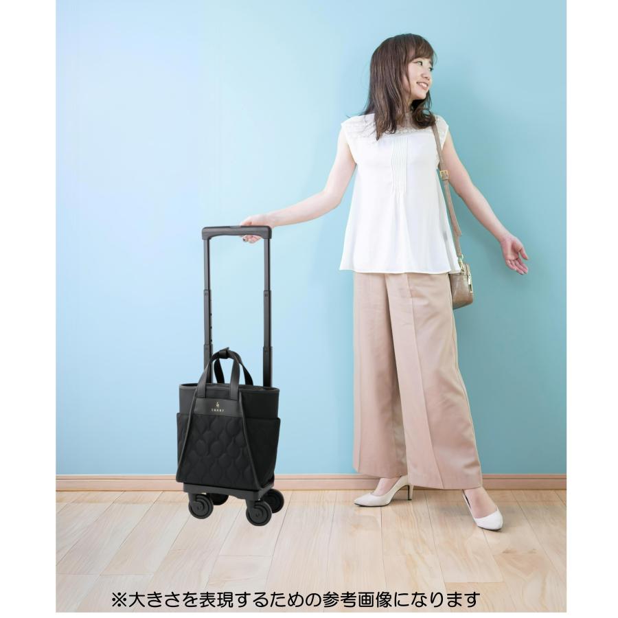 SWANY スワニー　キャリーバッグ D-589 プーフォ TS18 SWANY（キャリーバック） スワニー キャリーバッグ SWANY D-589