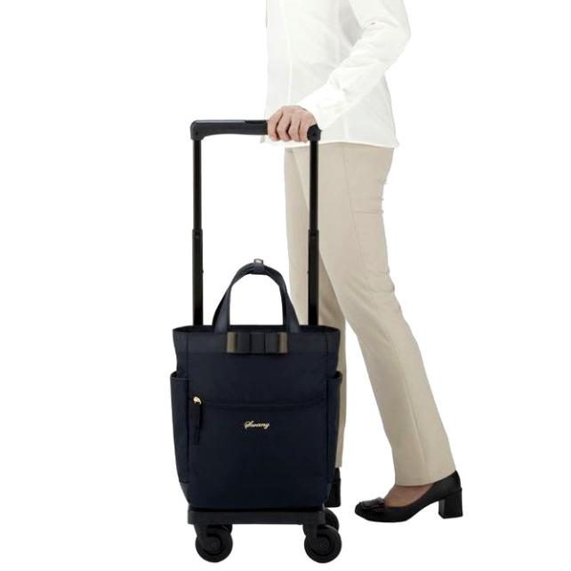 SWANY（キャリーバック） スワニー キャリーバッグ SWANY 新型 D