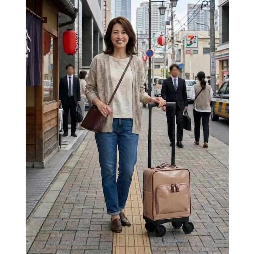 SWANY（スワニー） キャリーバッグ 新商品 D-711 フランダ TS18サイズ