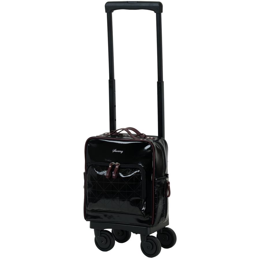 SWANY（スワニー） キャリーバッグ 新商品 D-711 フランダ TS18サイズ