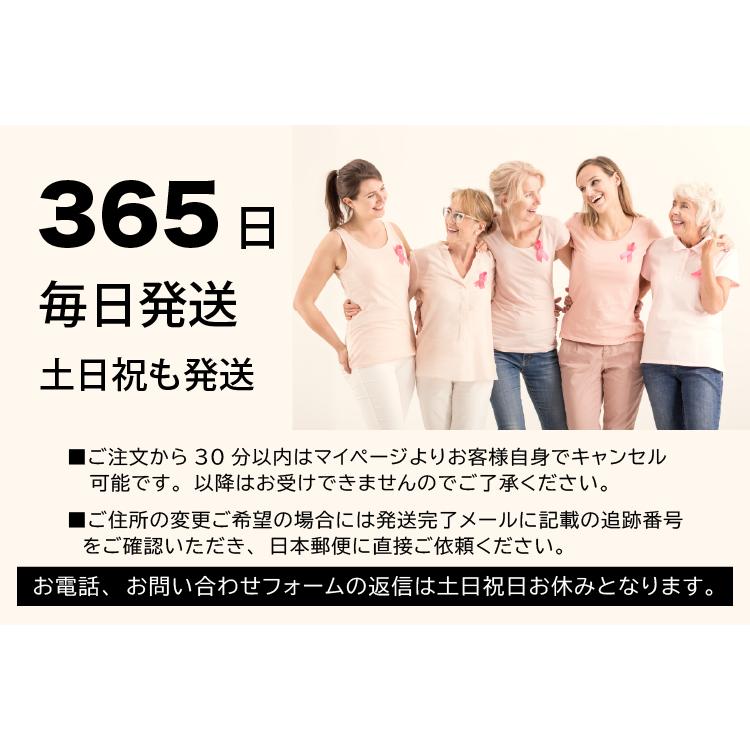 元看護師監修 軽量 乳がん パッド 全摘 乳ガンパット 乳がんパッド  