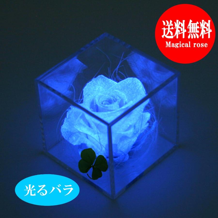 プリザーブドフラワー 四つ葉のクローバー 光るバラ 花 ギフト 誕生日プレゼント 女性 結婚記念日 カーネーション 母の日 ホワイトデー 【キューブ 】 | アートフォーシーズン