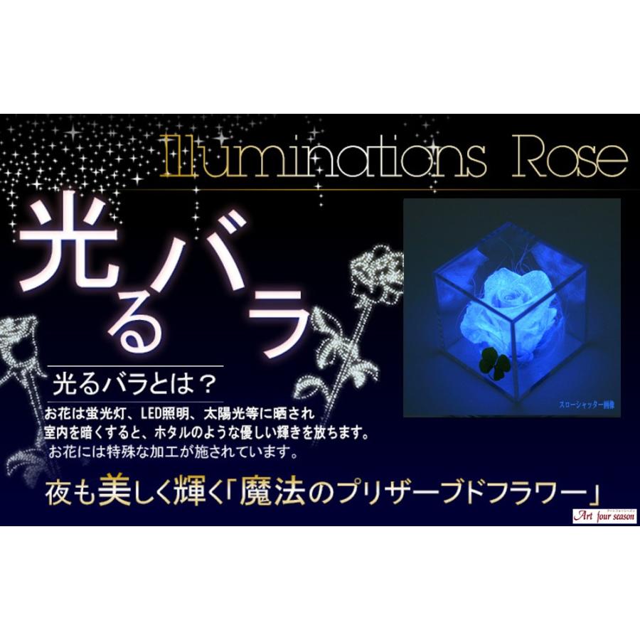 プリザーブドフラワー 四つ葉のクローバー 光るバラ 花 ギフト 誕生日プレゼント 女性 結婚記念日 カーネーション 母の日 ホワイトデー 【キューブ 】 | アートフォーシーズン | 05