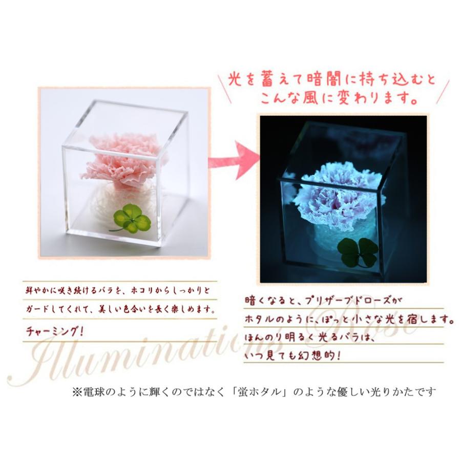 プリザーブドフラワー 四つ葉のクローバー 光るバラ 花 ギフト 誕生日プレゼント 女性 結婚記念日 カーネーション 母の日 ホワイトデー 【キューブ 】 | アートフォーシーズン | 14