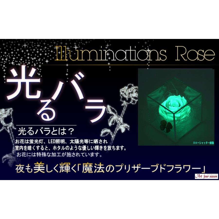 プリザーブドフラワー 四つ葉のクローバー 光るバラ 花 ギフト 誕生日プレゼント 女性 結婚記念日 カーネーション 母の日 ホワイトデー 【キューブ 】 | アートフォーシーズン | 15