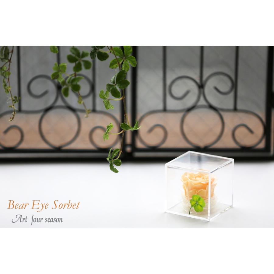 プリザーブドフラワー 四つ葉のクローバー 光るバラ 花 ギフト 誕生日プレゼント 女性 結婚記念日 カーネーション 母の日 ホワイトデー 【キューブ 】 | アートフォーシーズン | 16